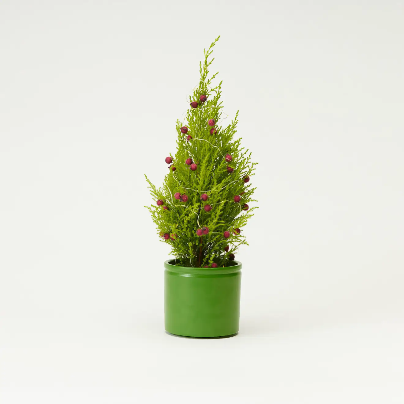 Mini Conifer Festiv cu Luminițe
