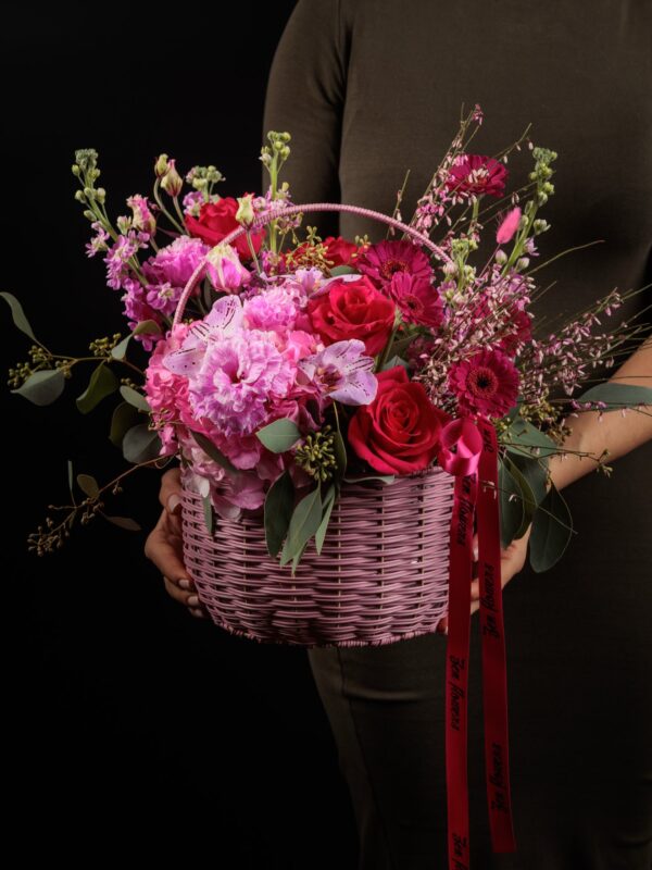 Magenta dream